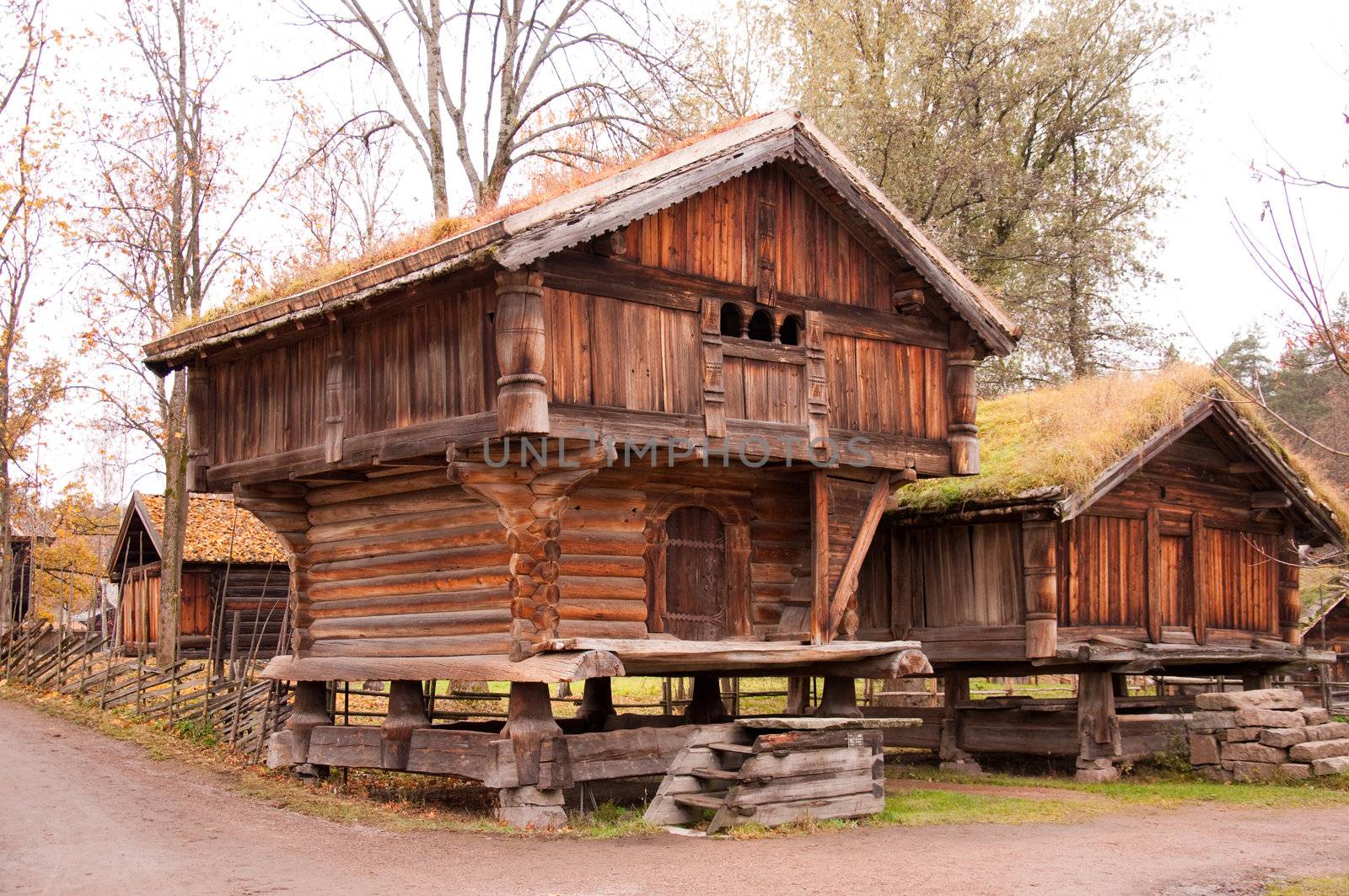Norwegian typical wooden house with grass roof