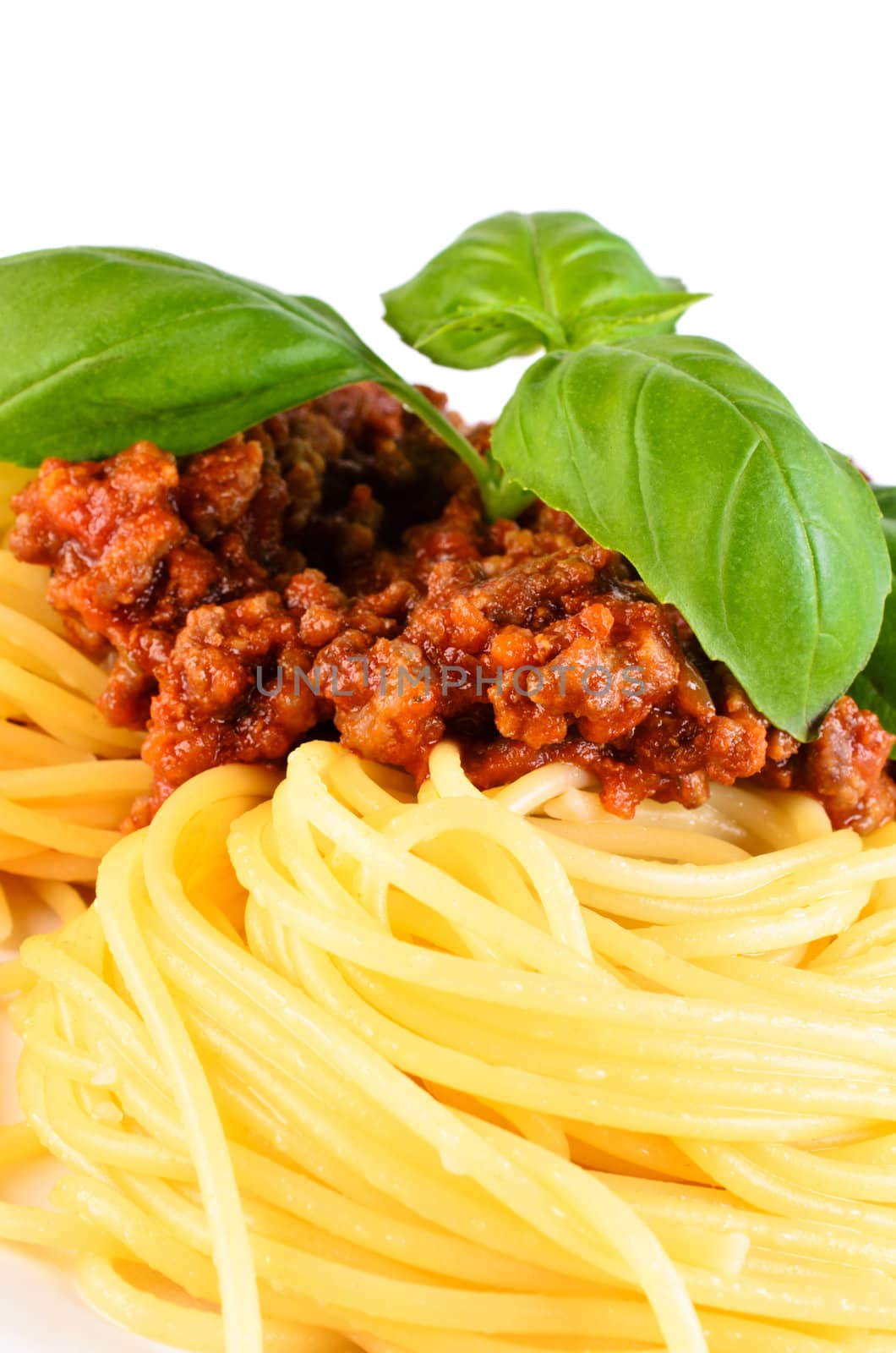 Spaghetti bolognese with leaf basil close up