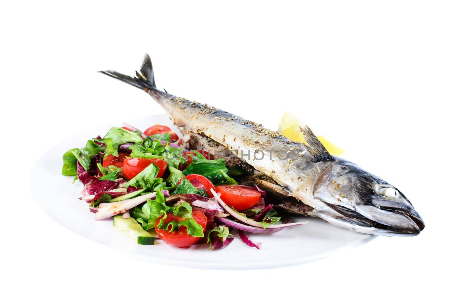 Grilled mackerel fish with vegetable salad isolated