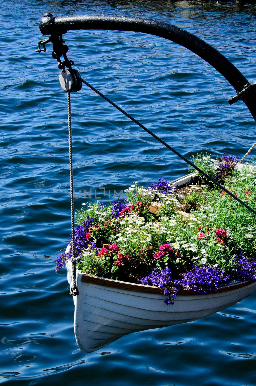 Boat full of decorative flowers