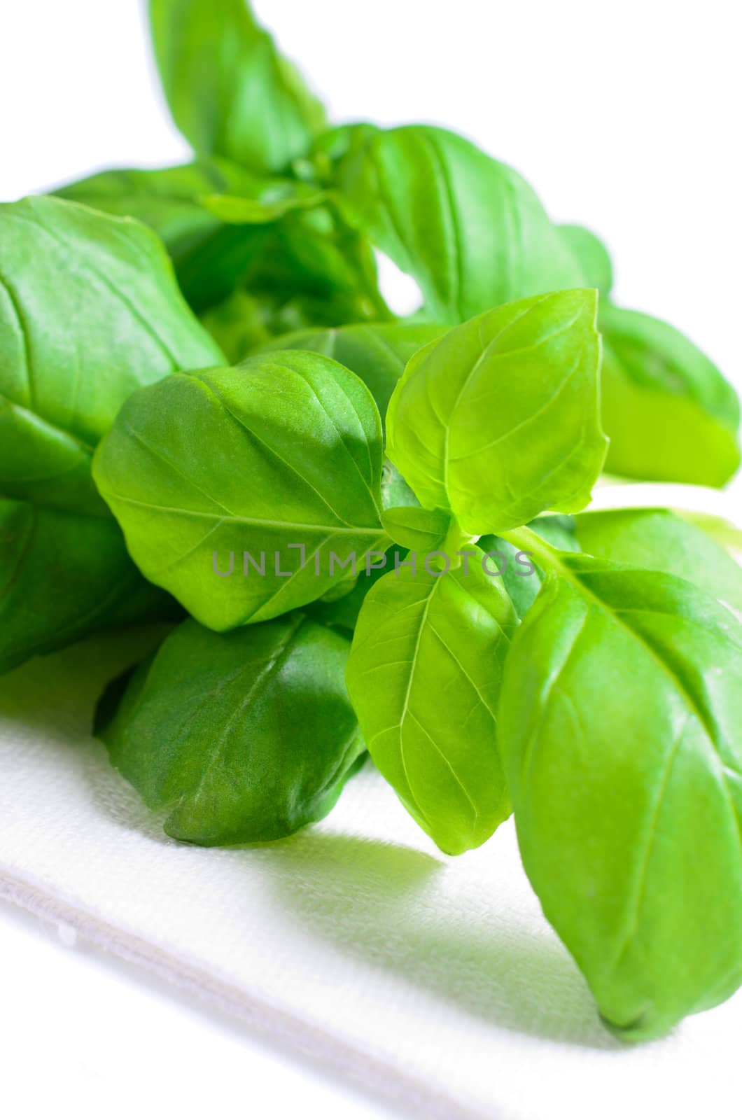 Sprig of basil in a white napkin