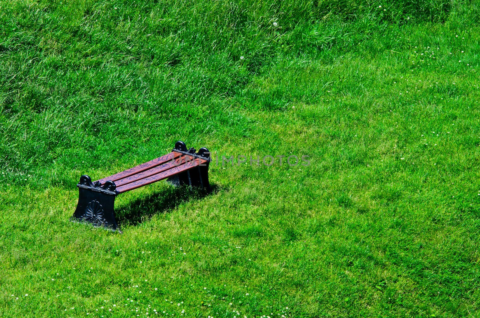Alone bench on green grass