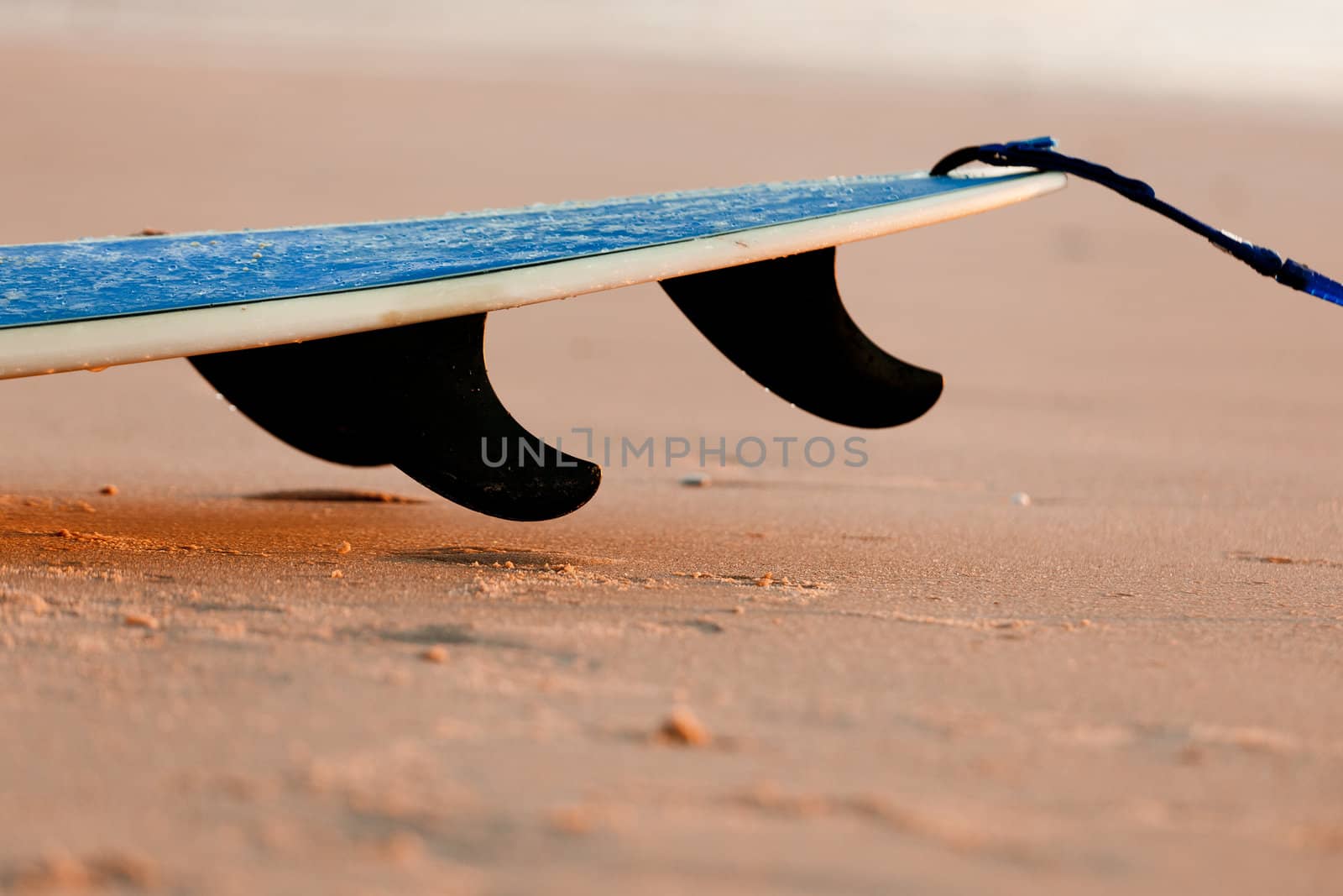 Surfboard by Iko