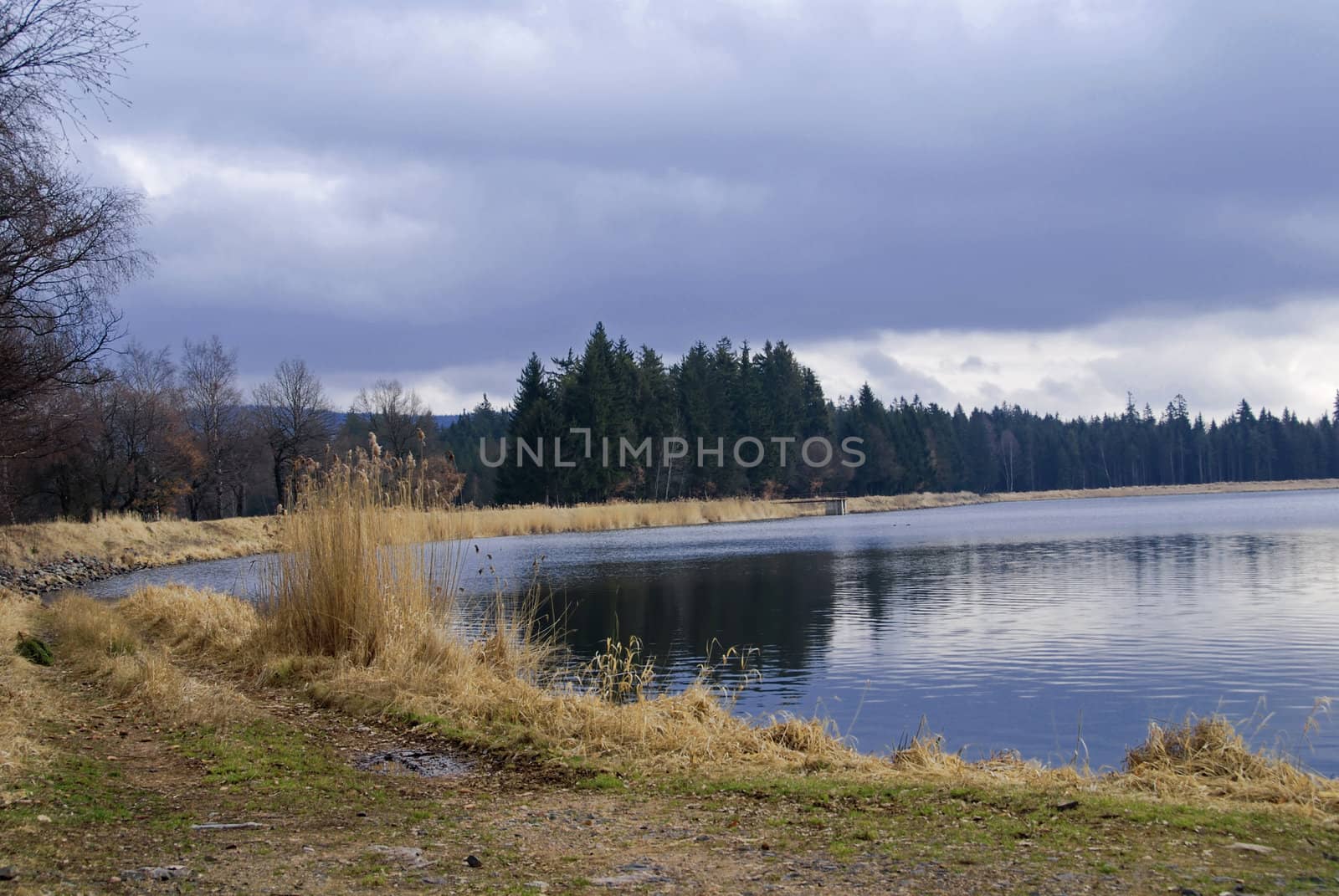 Lake by drakodav