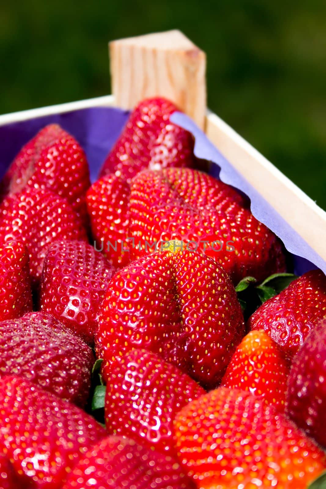 Some fresh strawberries in a little crate