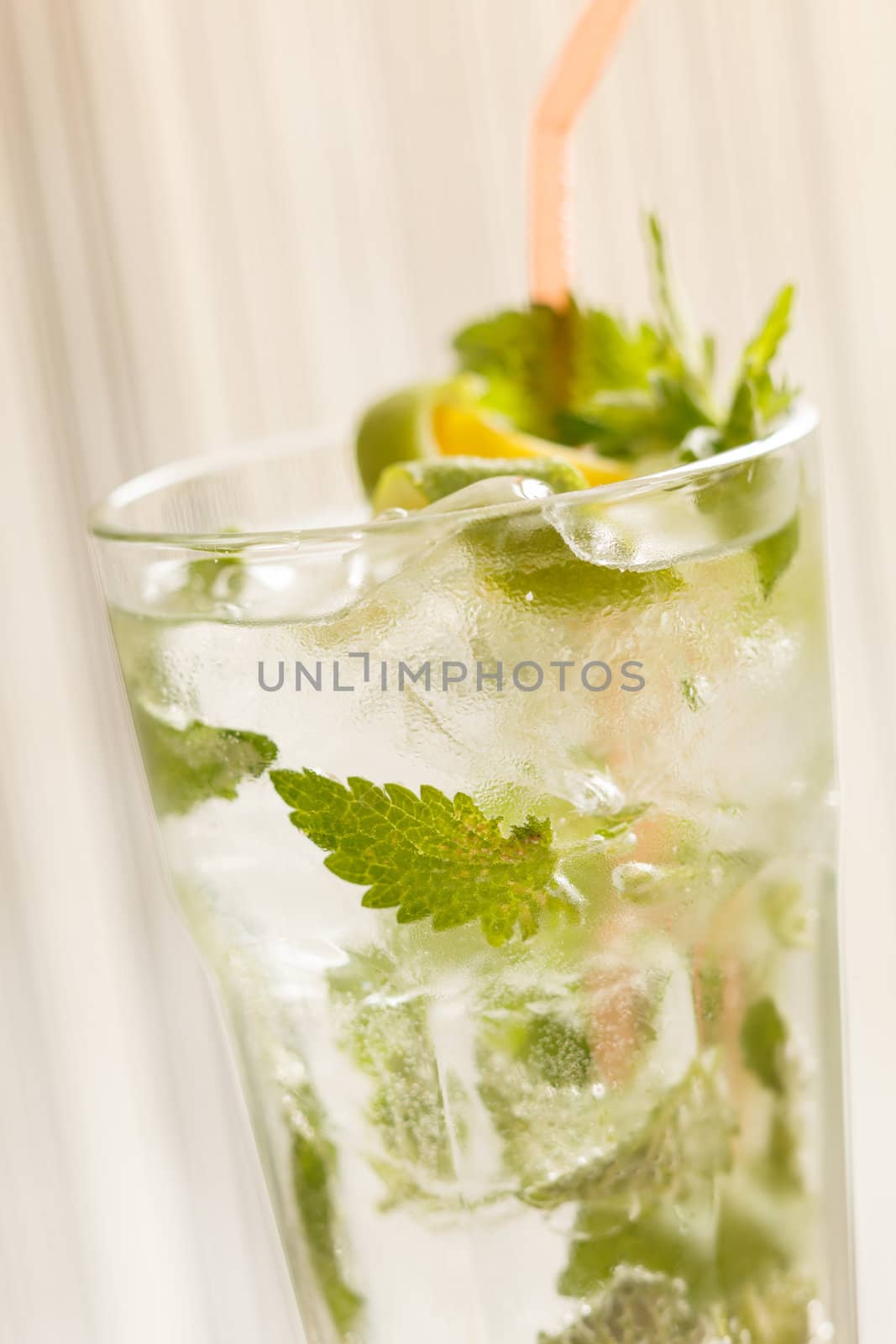 mojito cocktail by shebeko