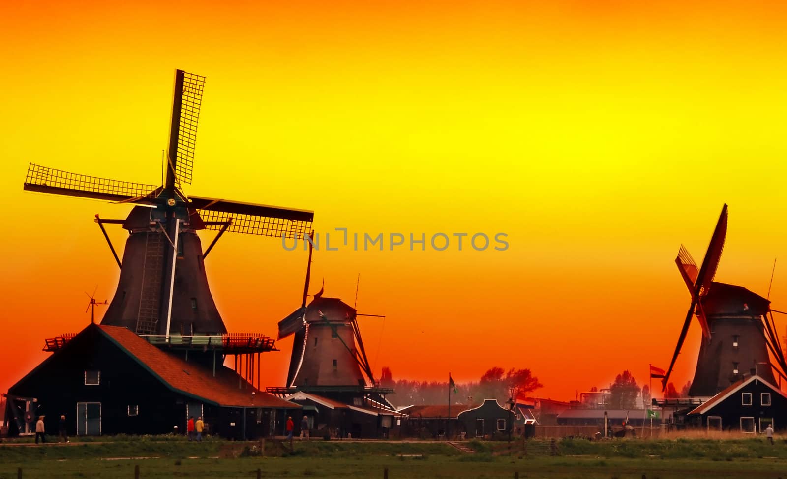 Beautiful sunset in Holland with a view at pasture with wind mills. Zaandam