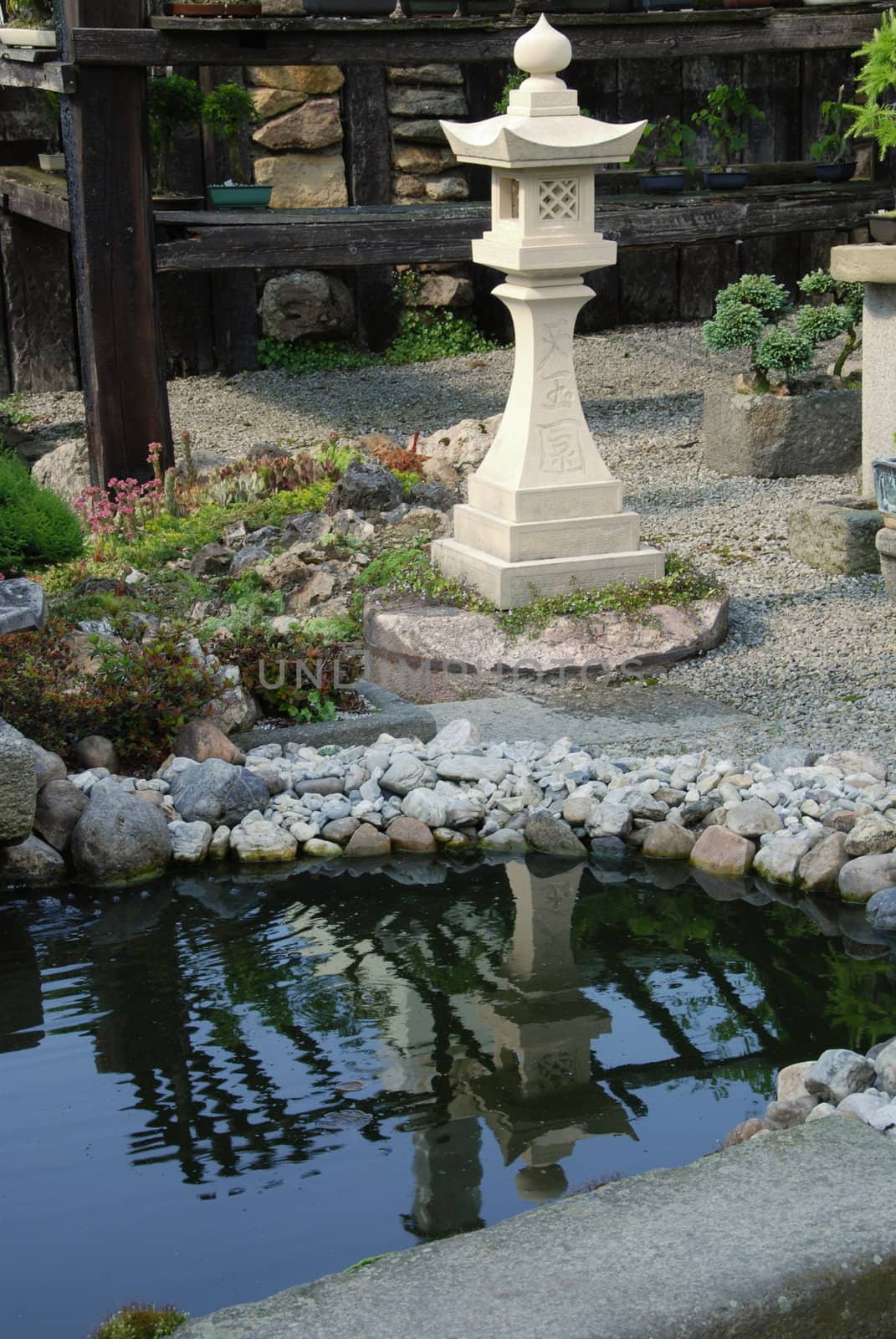 Bonsai trees still-life. Miniatures in a peaceful Japanese garden.