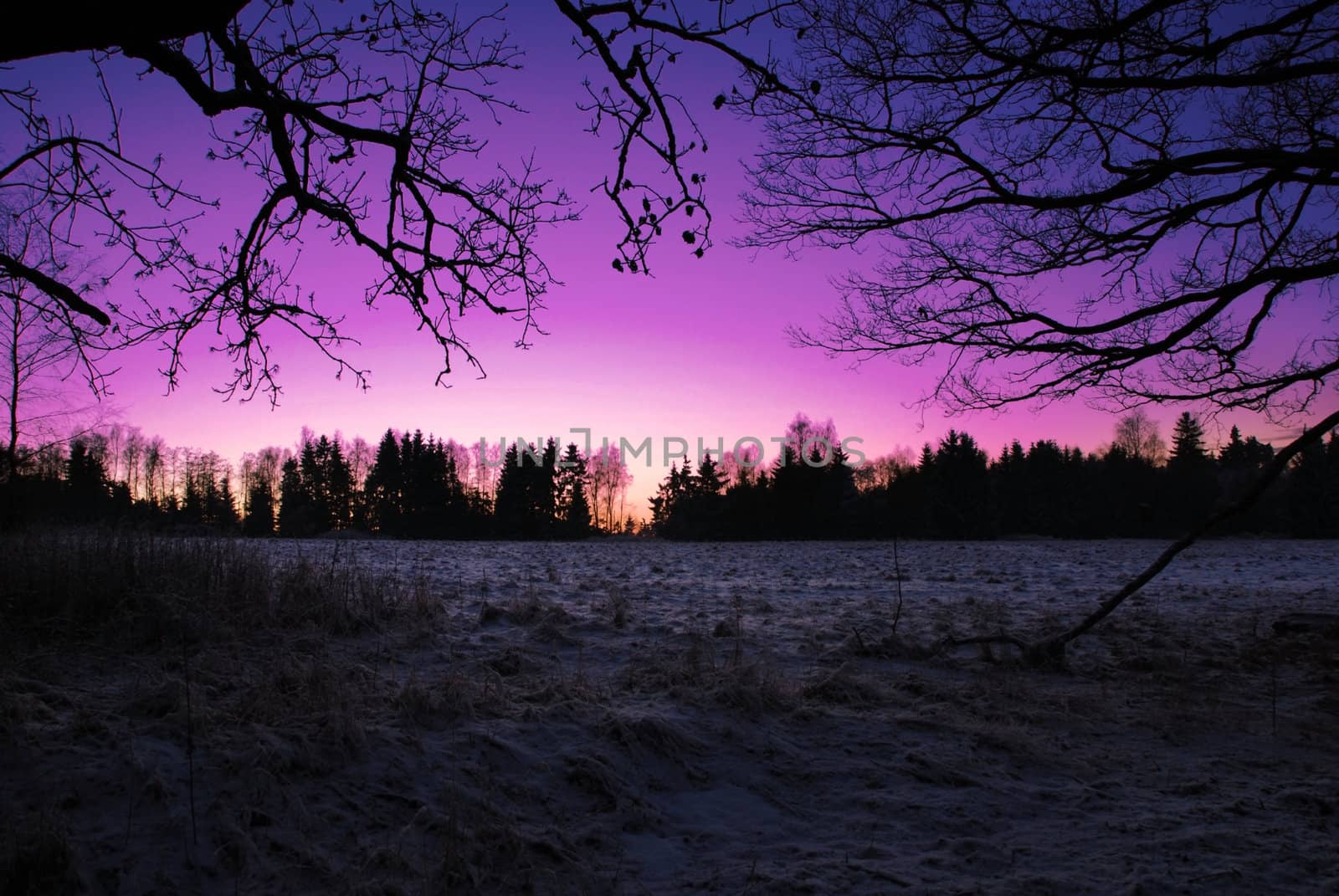 Beautiful sunrise over the frozen fields and forests