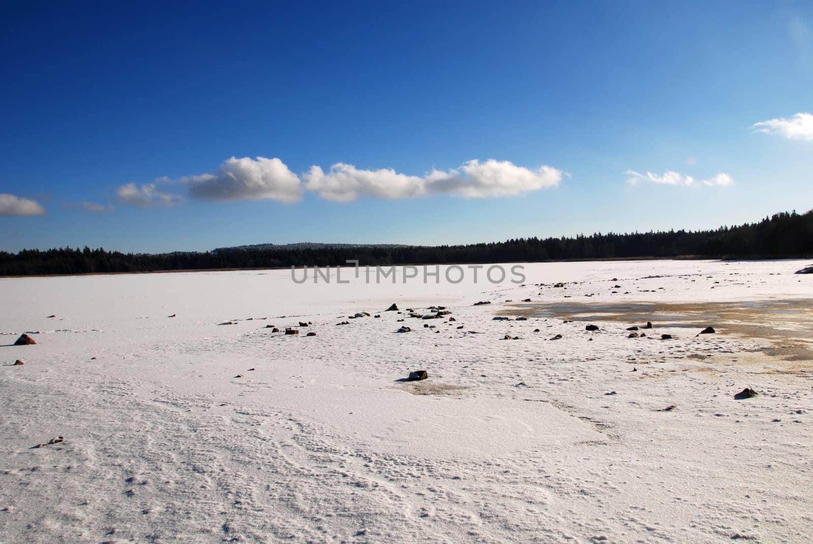 Winter landscape by drakodav