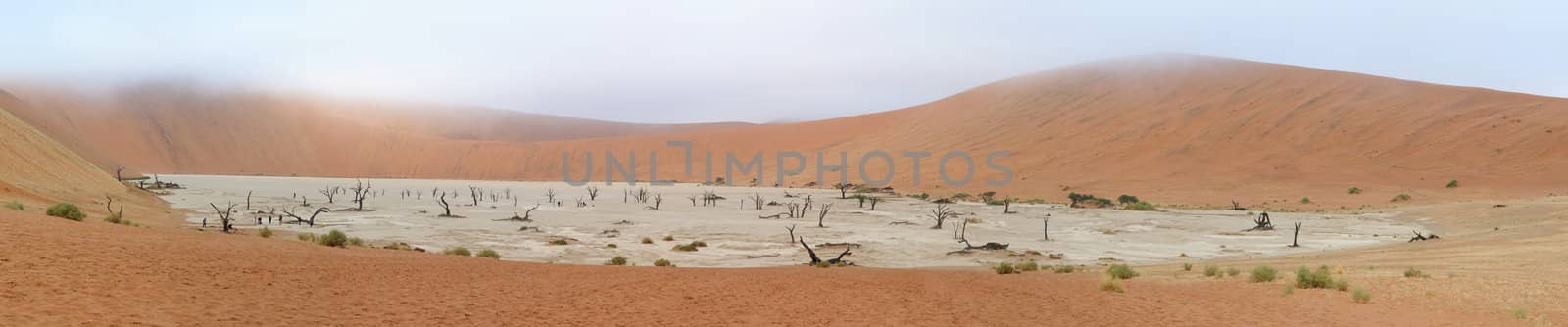 Deadvlei panorama  by dpreezg