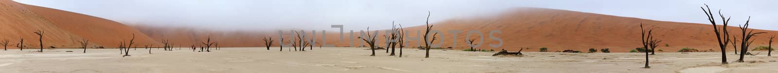 Panorama from ten photos of Deadvlei near Sossusvlei,  Namibia