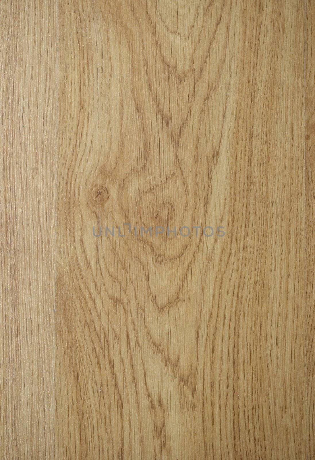 Texture of  wood by Pakhnyushchyy