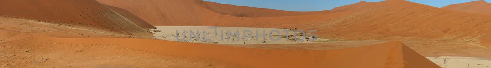 Panorama from five photos of Deadvlei. Use together with Sossusvlei panorama 1 for an overview of the area