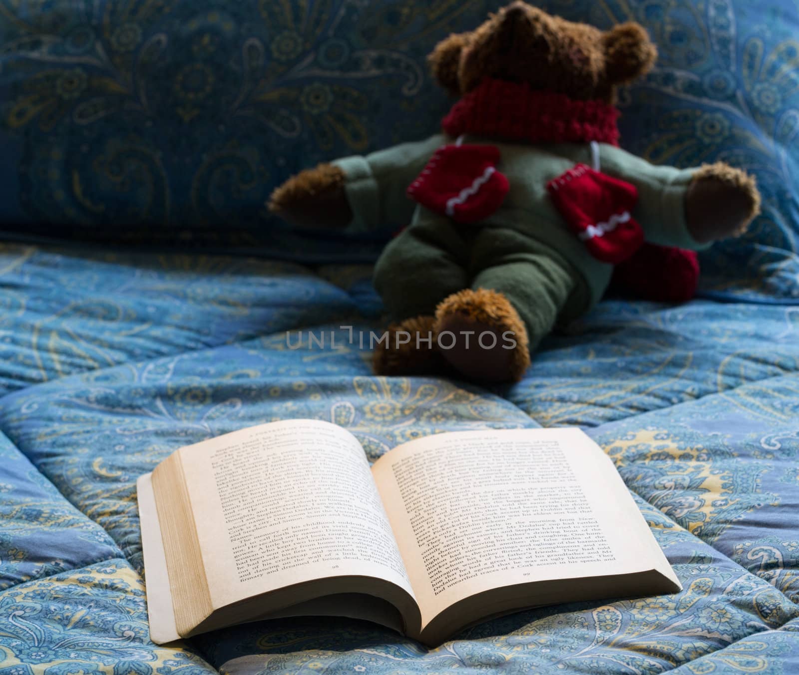 James Joyce 1917 book open on bed in chilly scene with winter teddy bear in background