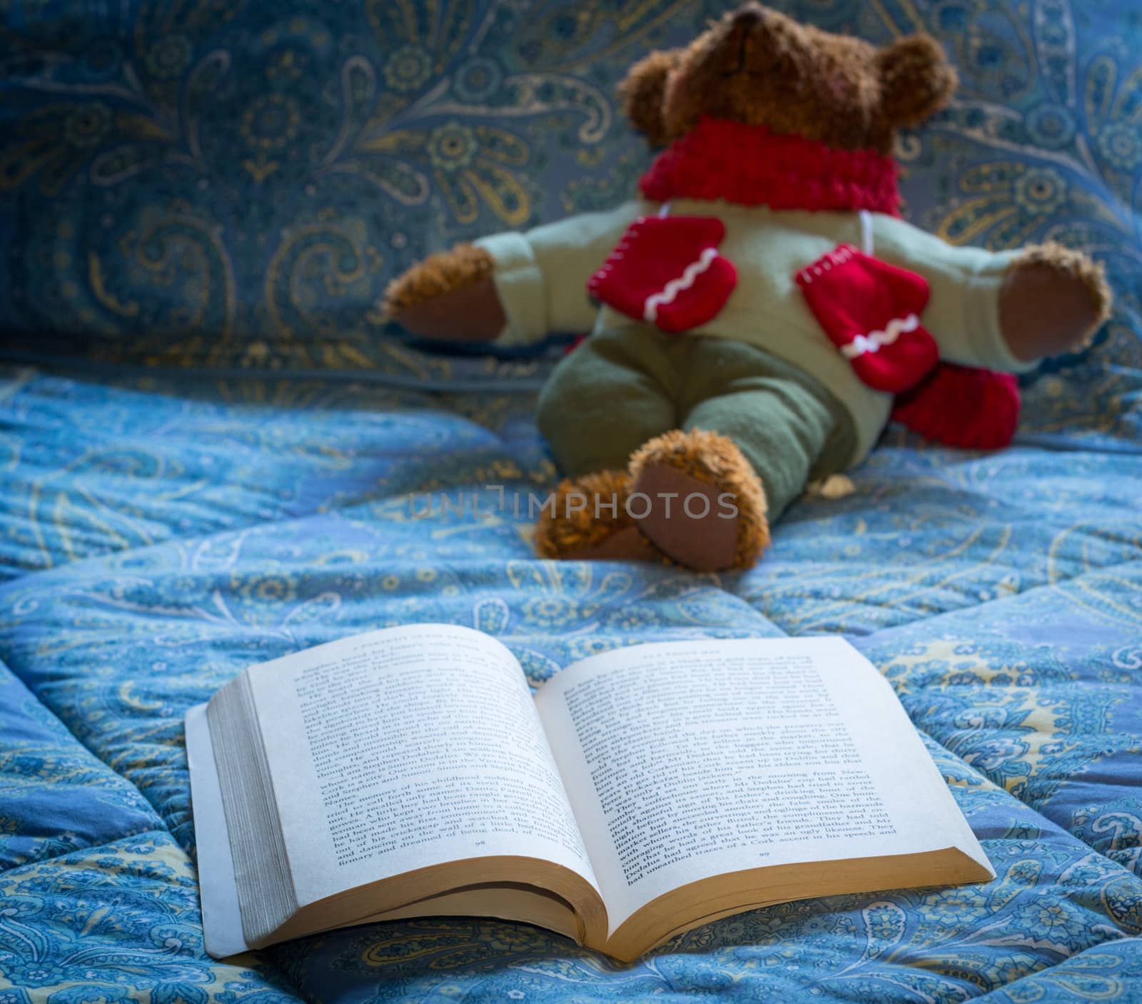 James Joyce 1917 book open on bed in chilly scene with winter teddy bear in background