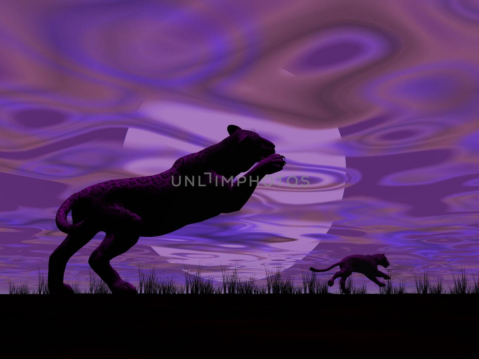 Shadow of a panther jumping under the full moon and another one running by violet night