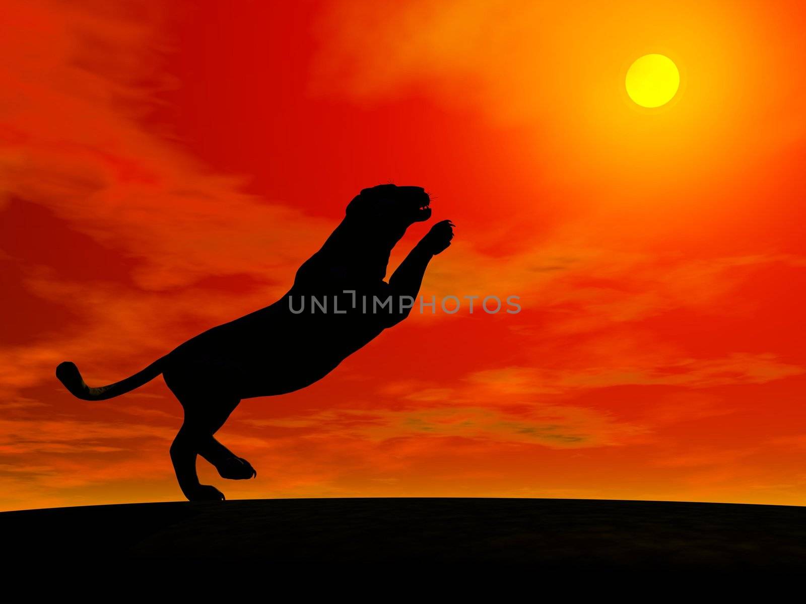 Shadow of one panther jumping to the sun in red background