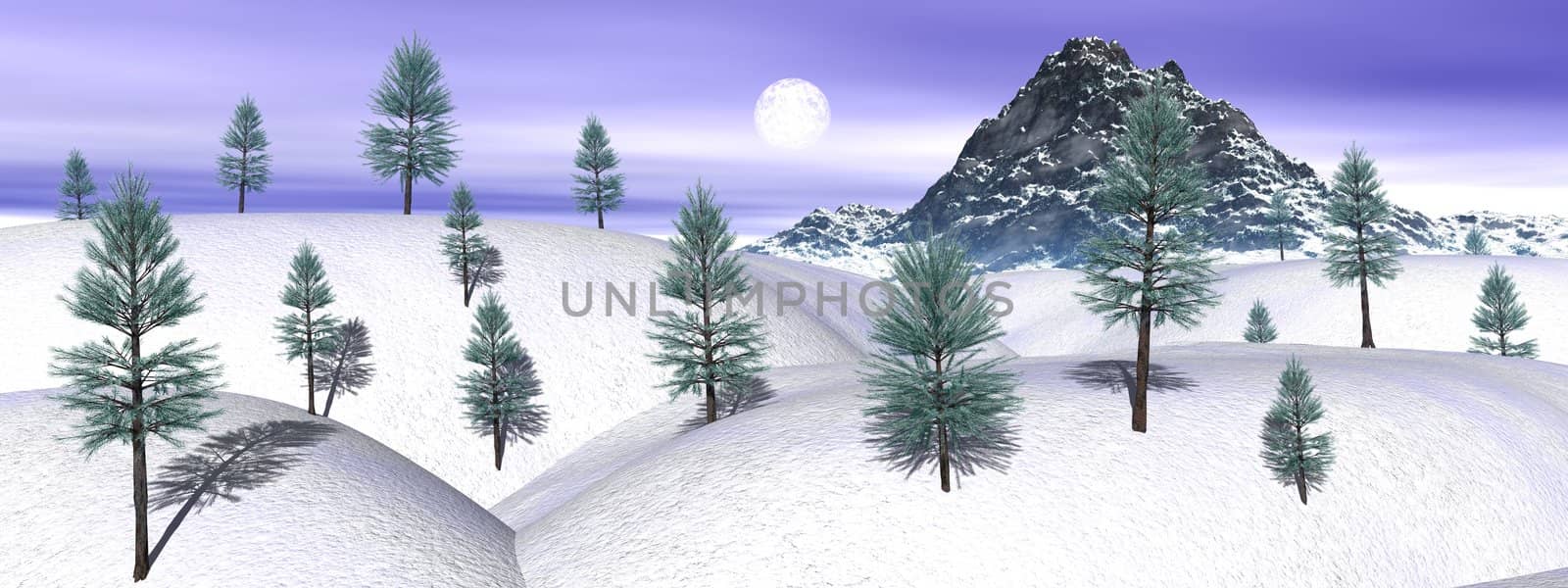 Trees, hills, rock and moon in a snowy winter landscape