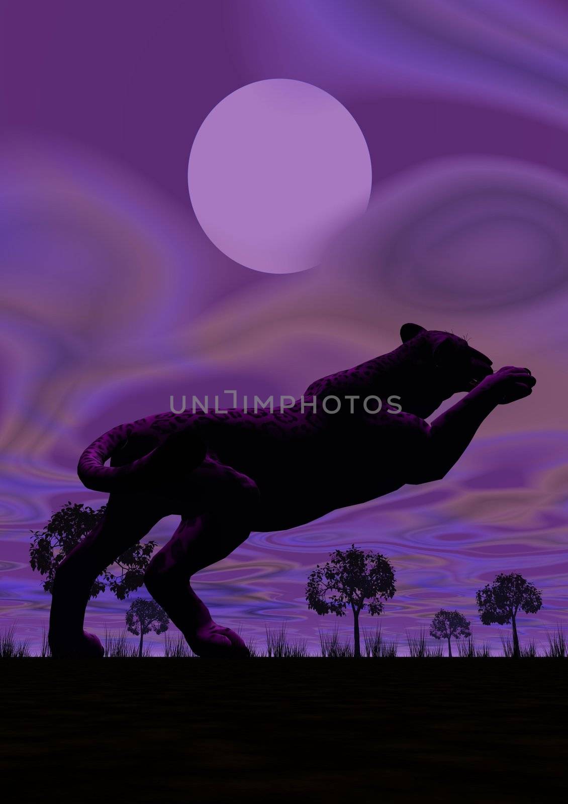 Shadow of one panther jumping under the full moon by violet night