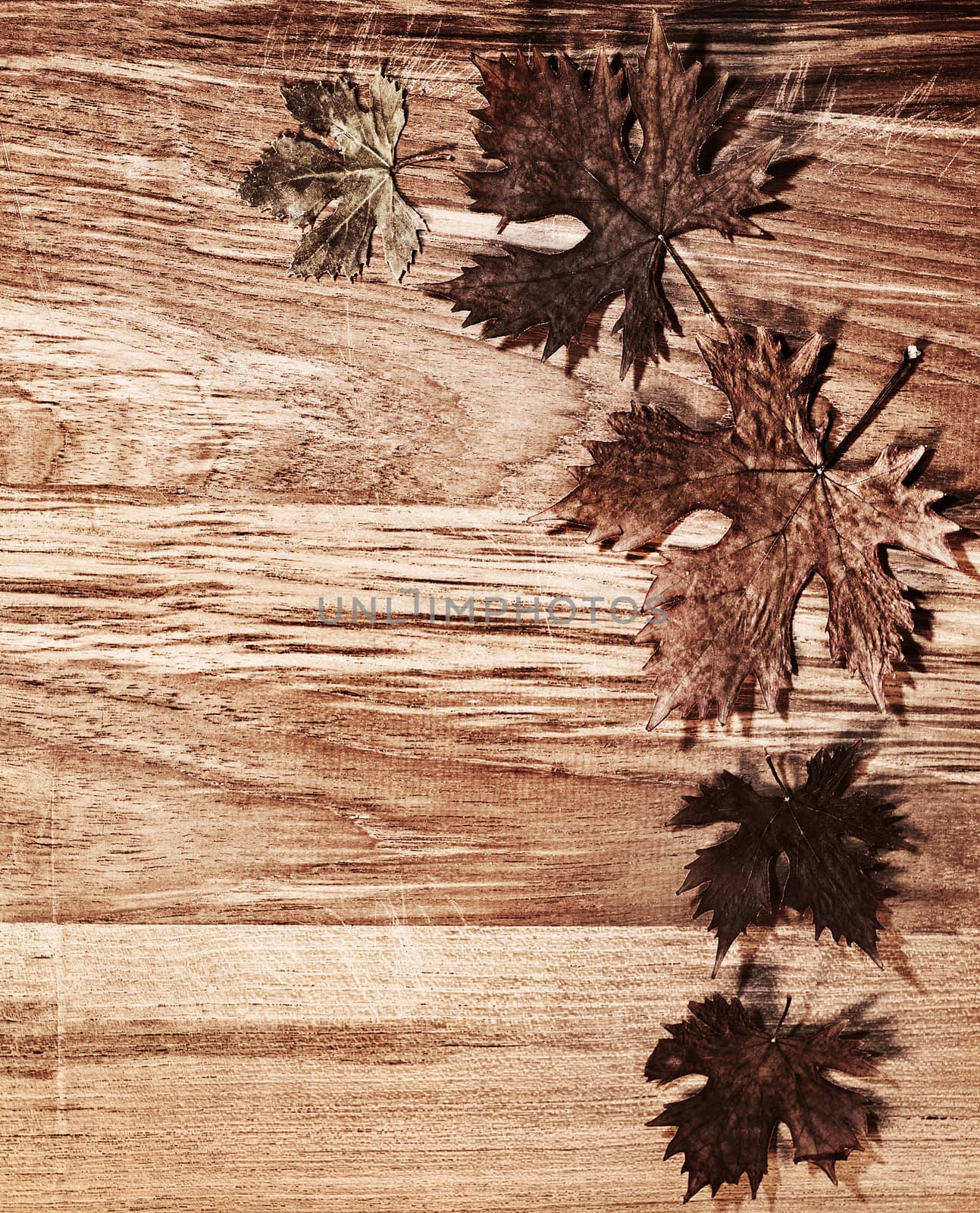 Autumn leaves border over wood background by Anna_Omelchenko