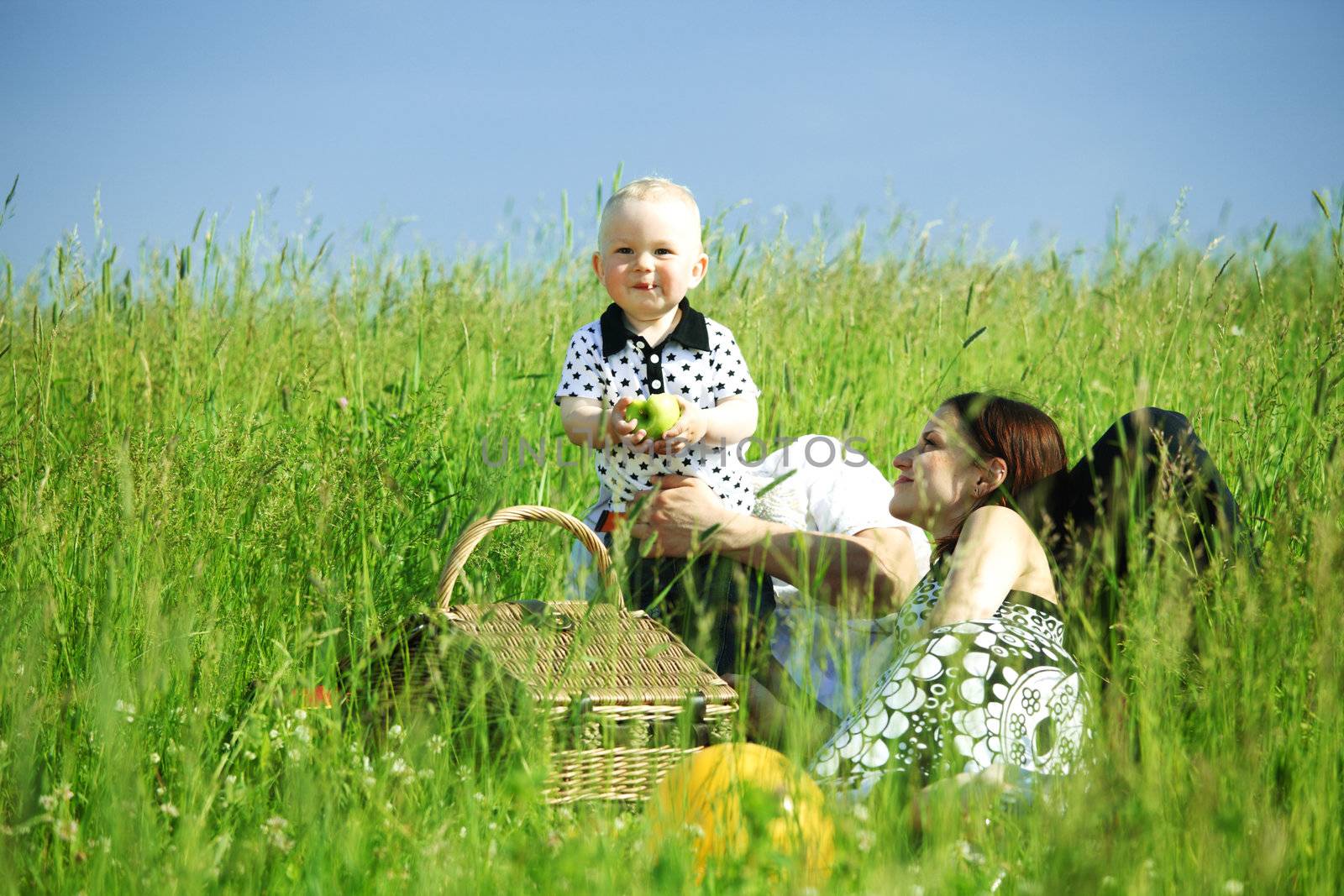  happy family on picnic in green grass