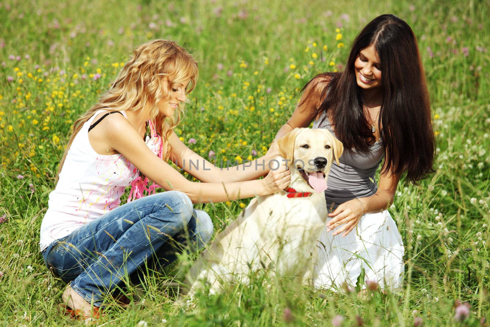 girlfriends and dog in green grass field