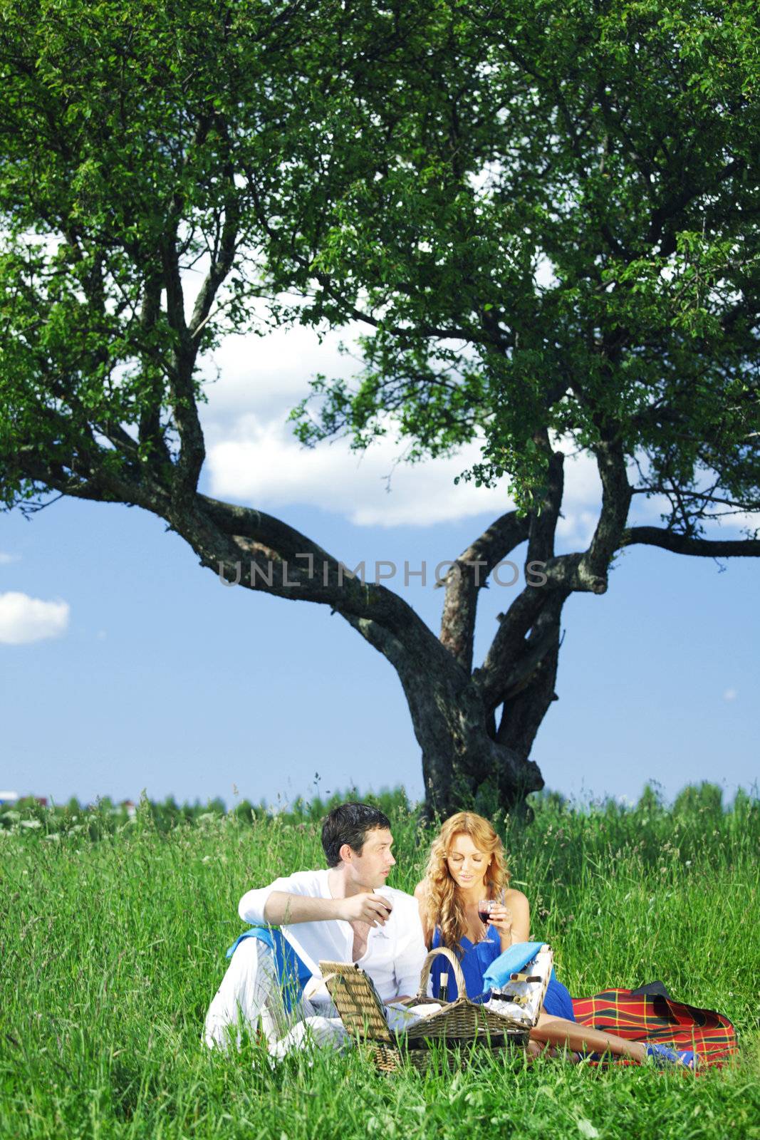 man and woman on picnic in green grass