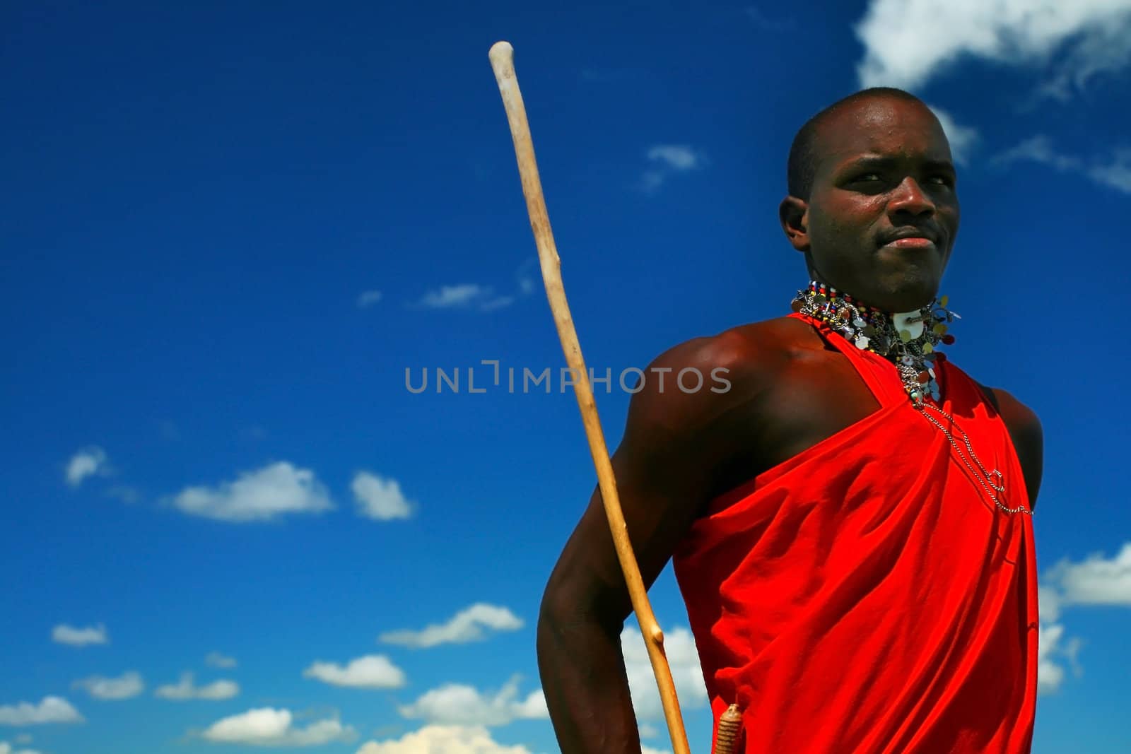 Masai warrior dancing traditional dance by Anna_Omelchenko