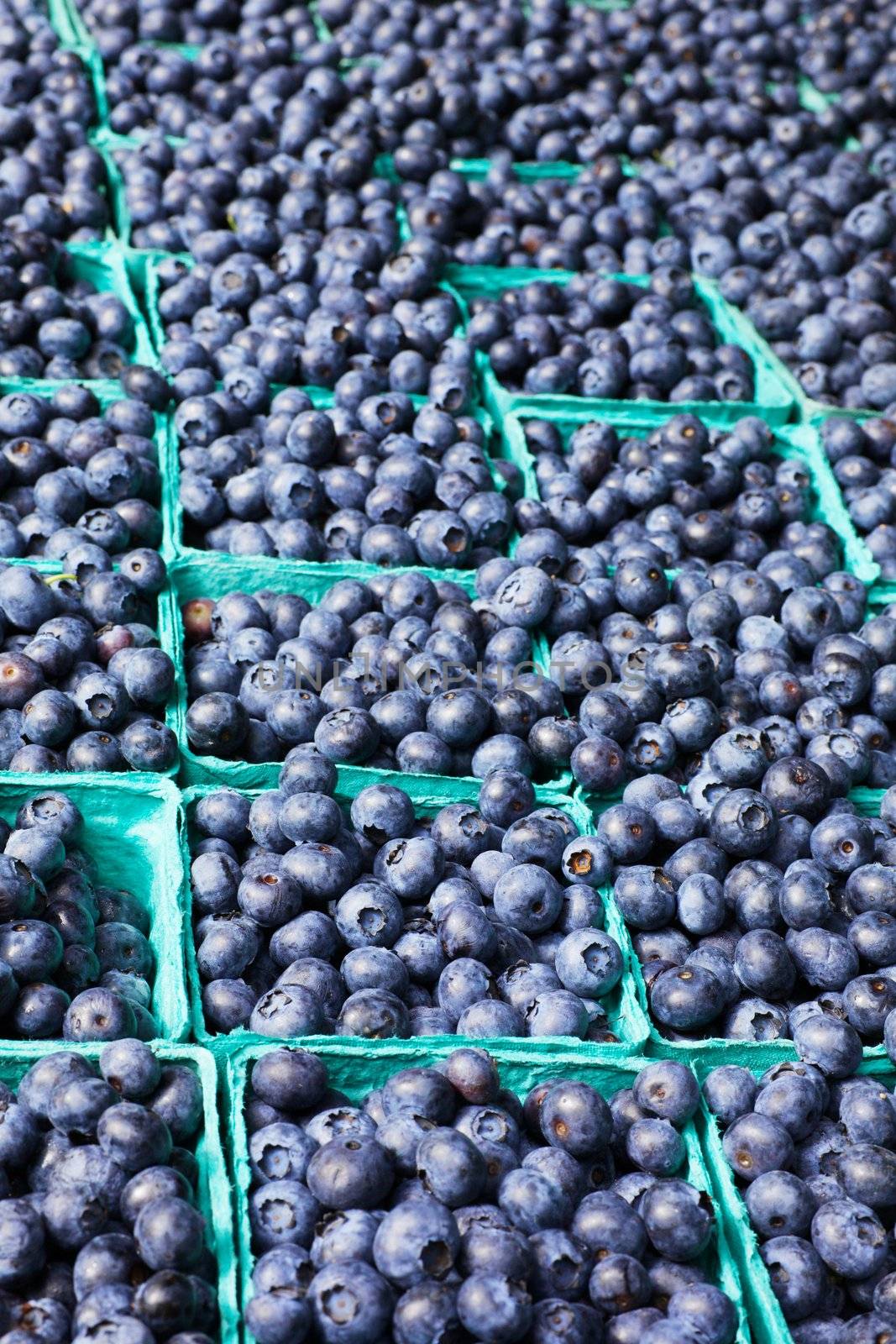 Many boxes of blueberries with soft background at the Farmers Market