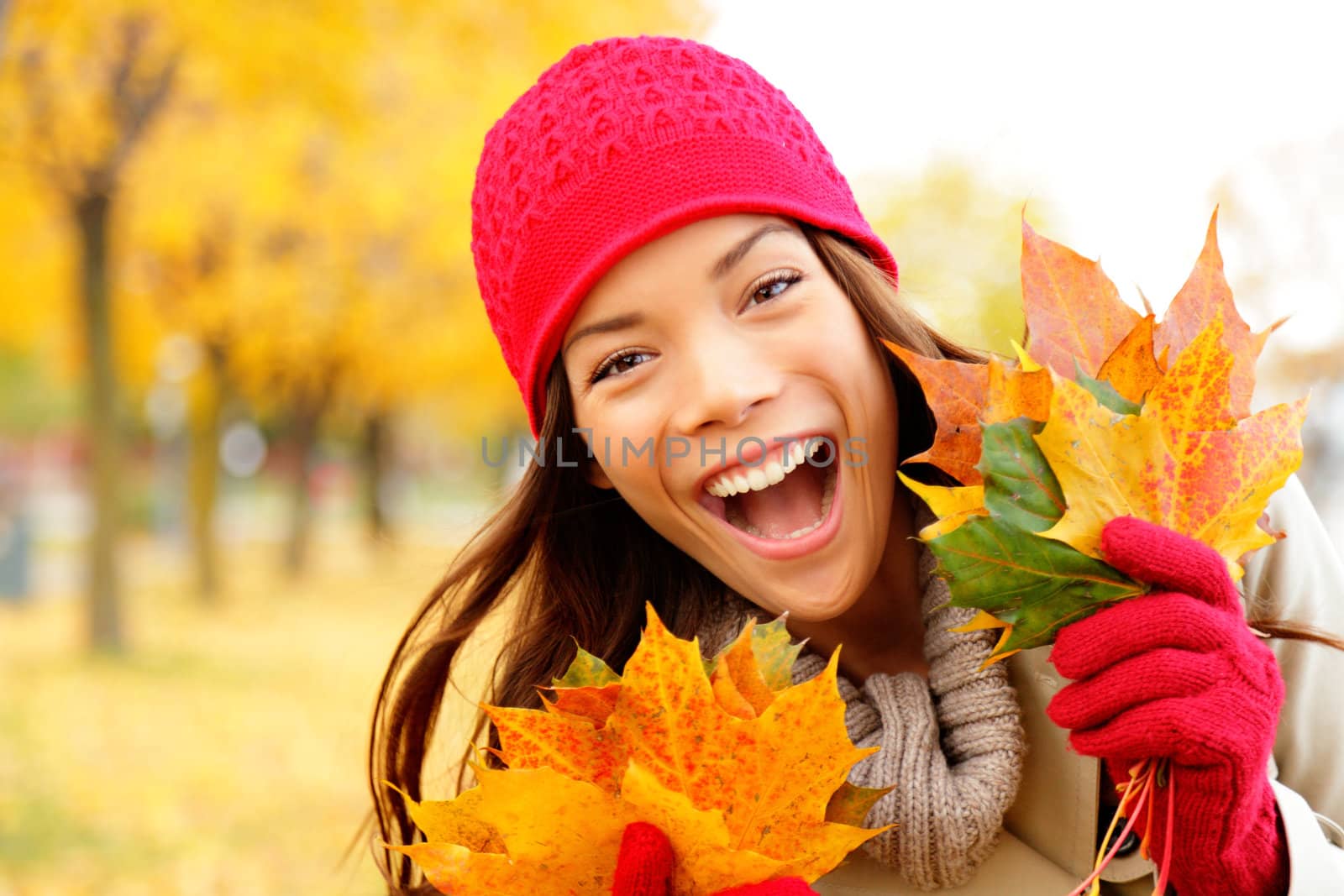 Excited happy fall woman smiling joyful and blissful holding autumn leaves outside in colorful fall forest. Beautiful energetic mixed race Caucasian / Asian Chinese young woman.