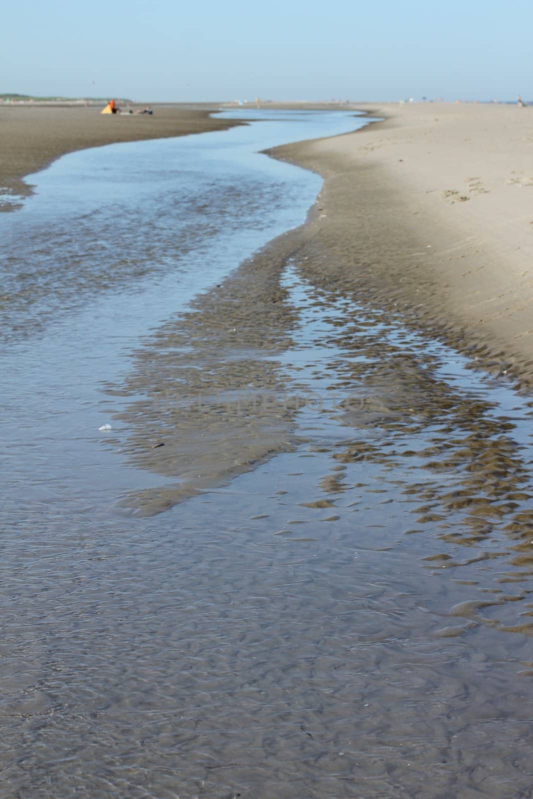 river beach at low tide