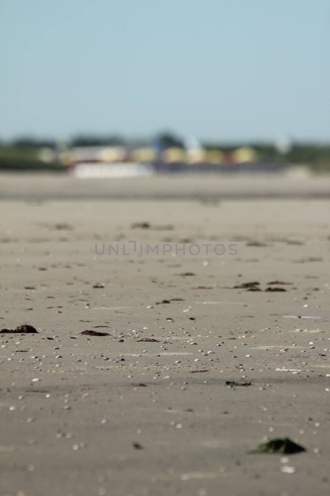 at the beachside