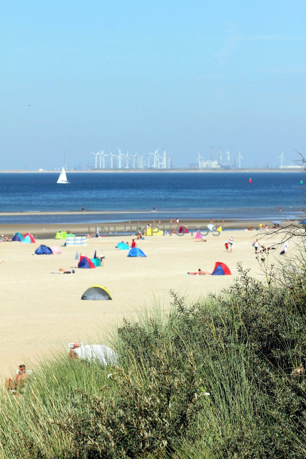 people relaxing on the beach behind reed 