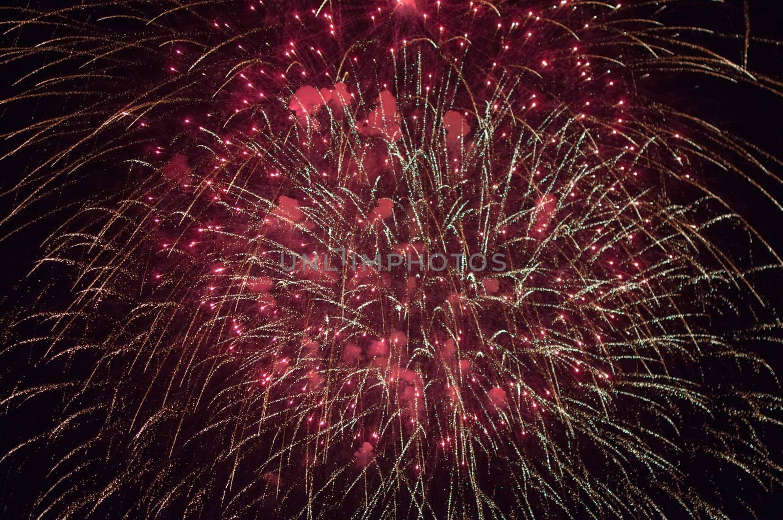 A delicate burst of fireworks in the night sky