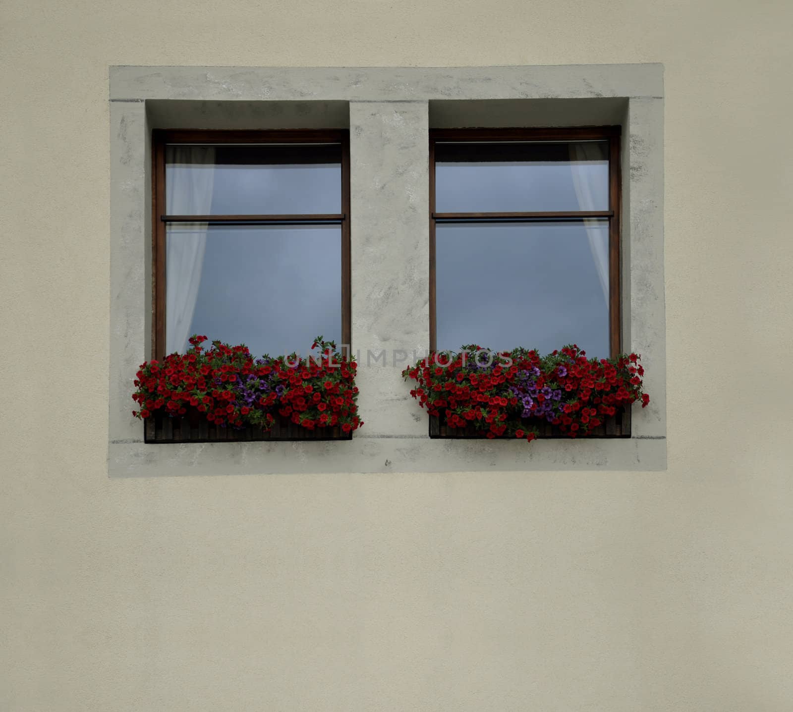 A modern window decorated with beautiful flowers by kdreams02