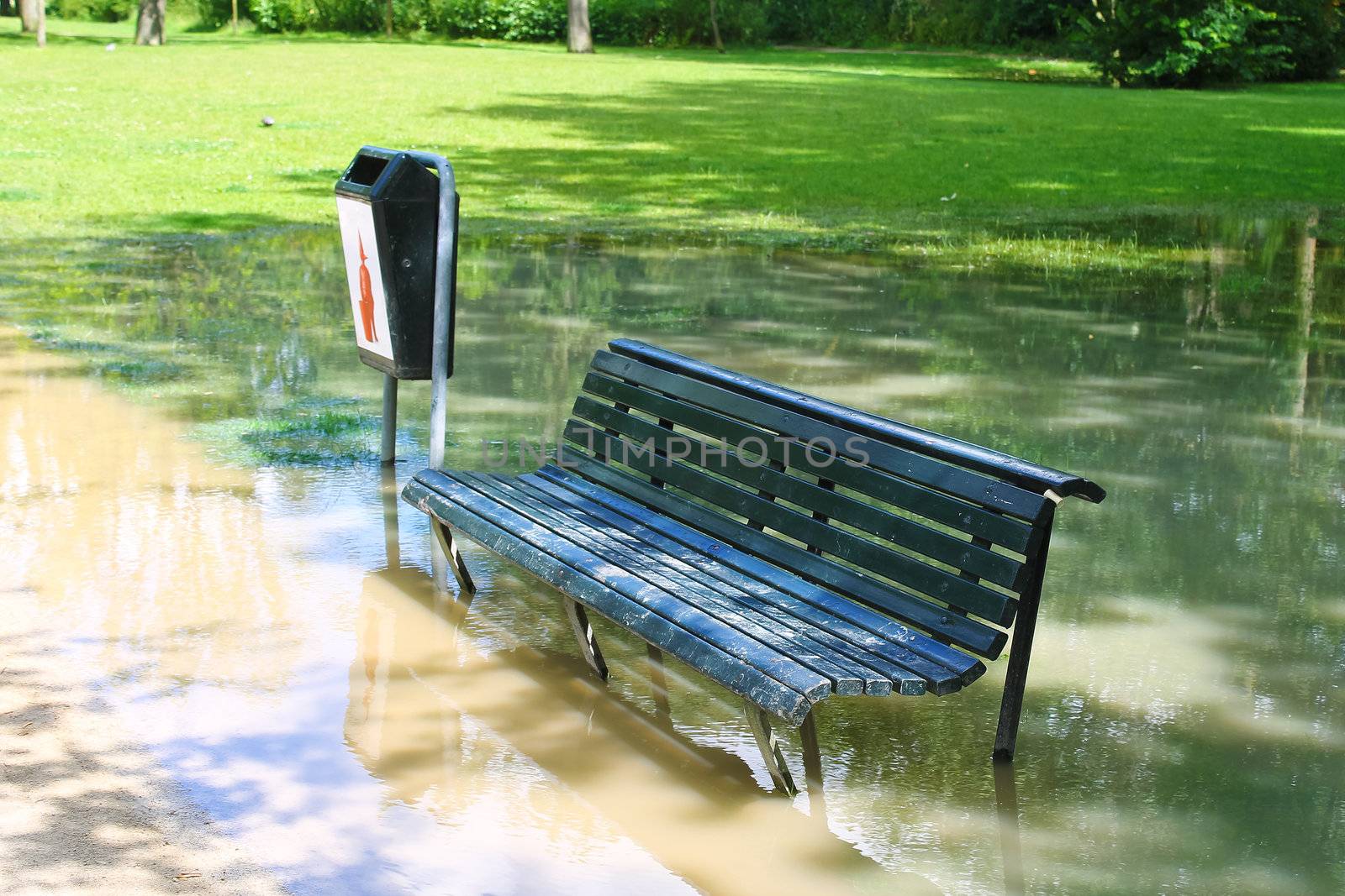 A bench in a flooded park in Amsterdam