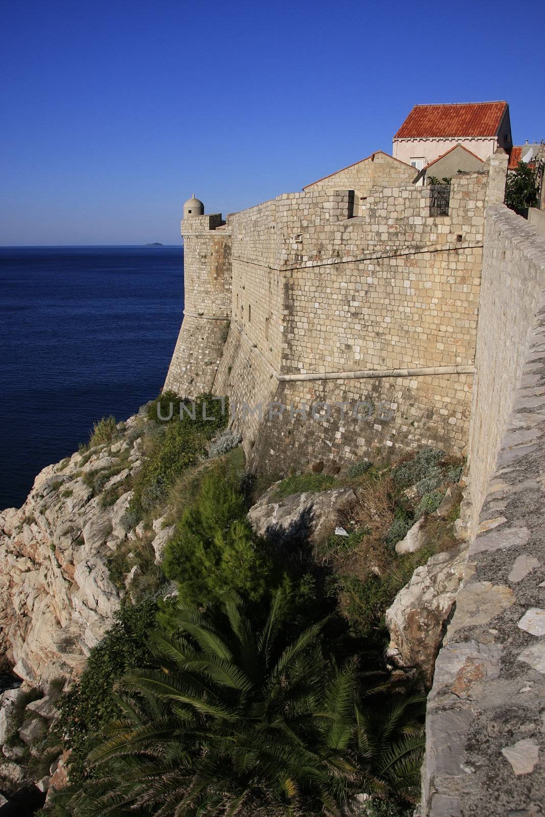 City walls of Dubrovnik, Croatia by donya_nedomam