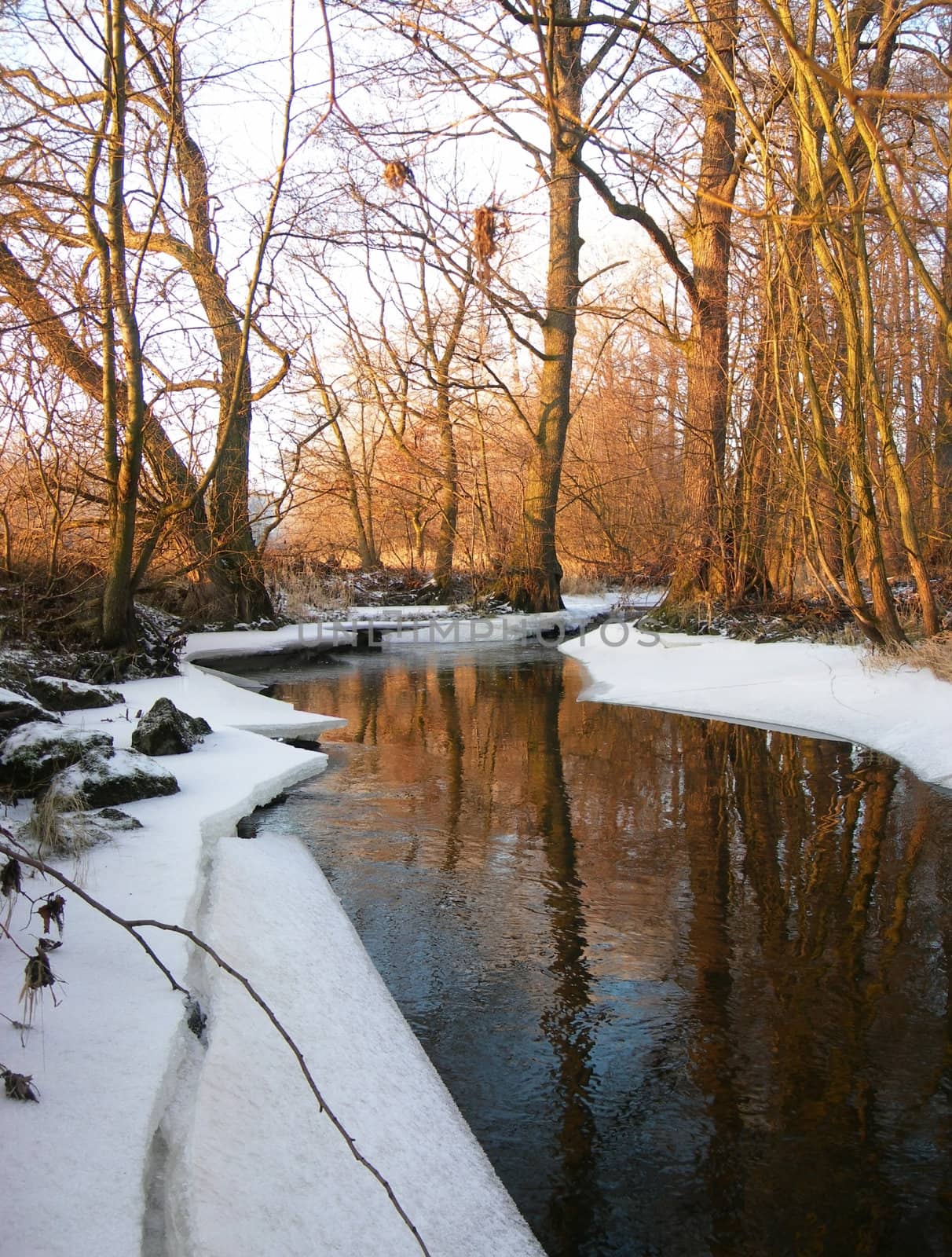 Flowing water in a brook is covered by clear ice