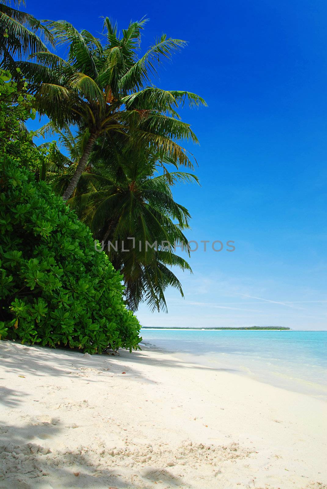 Beautiful tropical beach with turquoise sea, white sand and palm