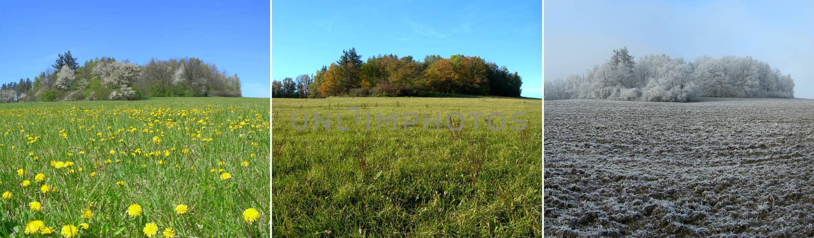 One meadow during the spring and fall seasons