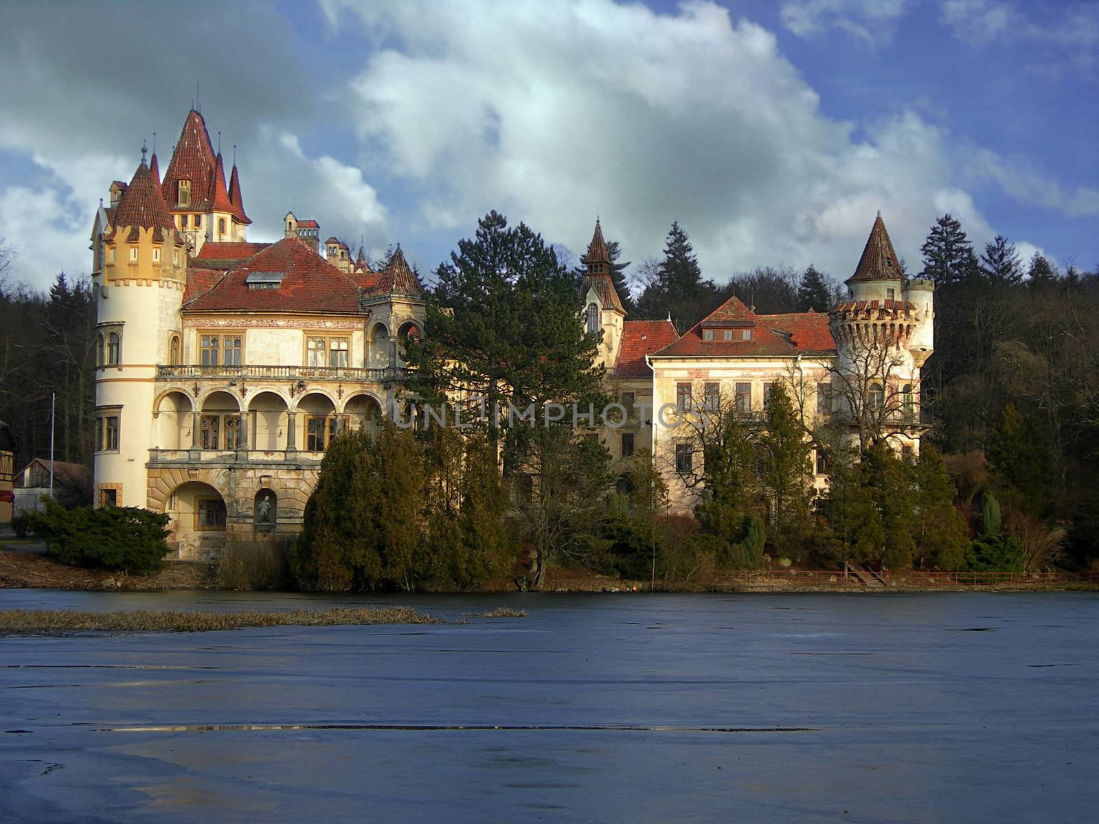 Romantic castle by drakodav