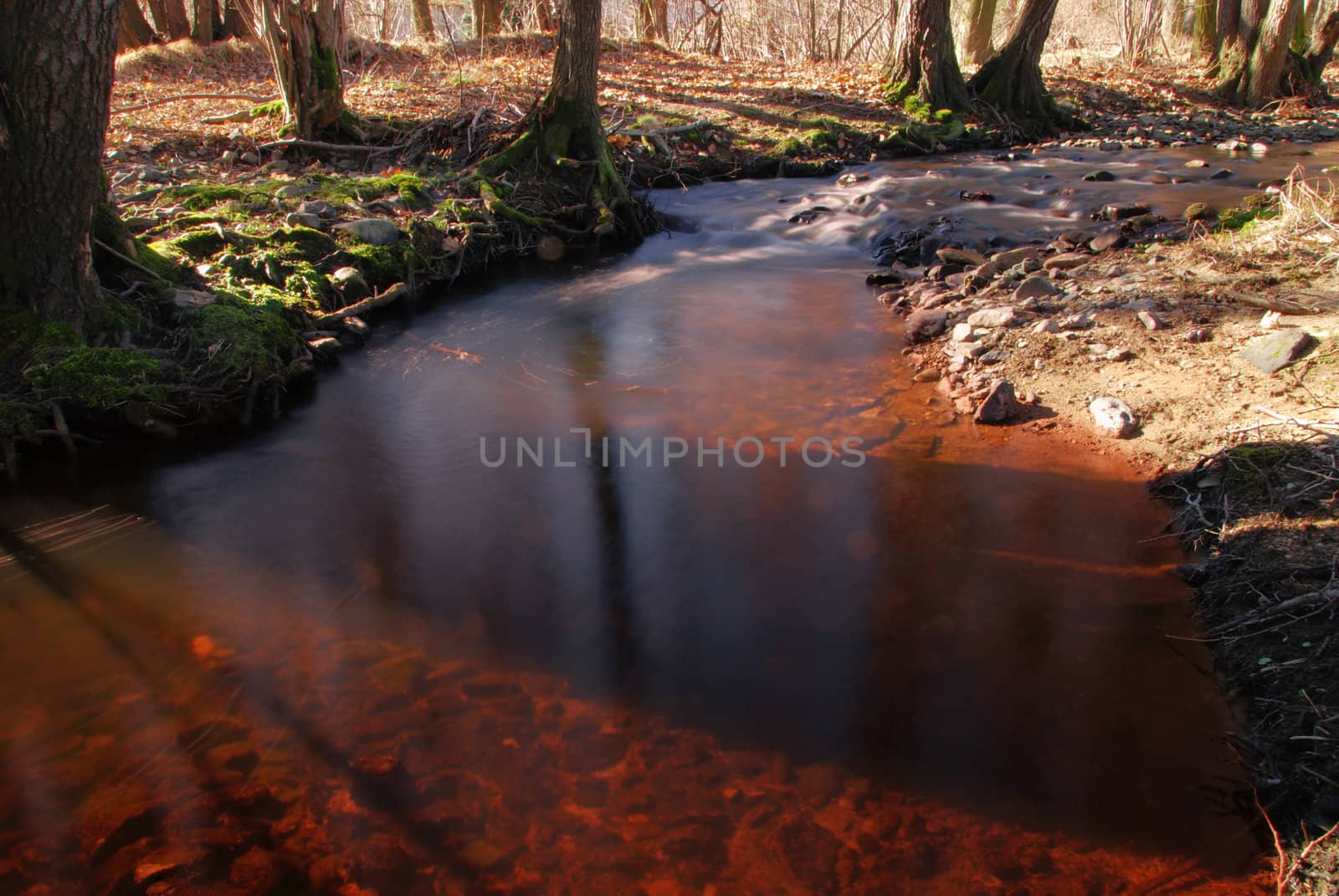Blood river - a brook with a red water 
