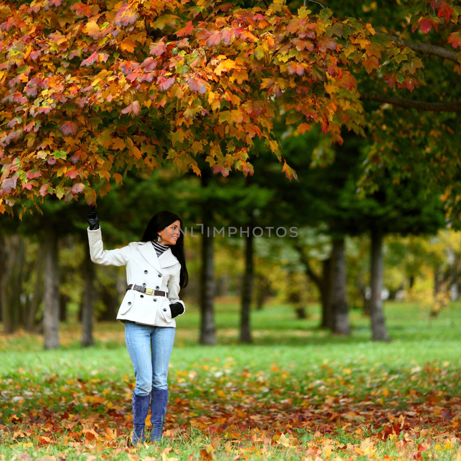 woman in yellow autumn park
