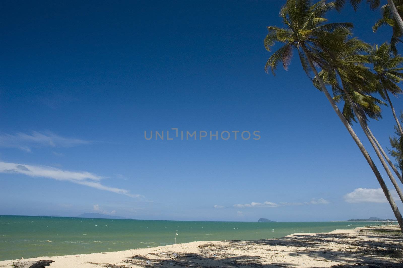 beach by yuliang11