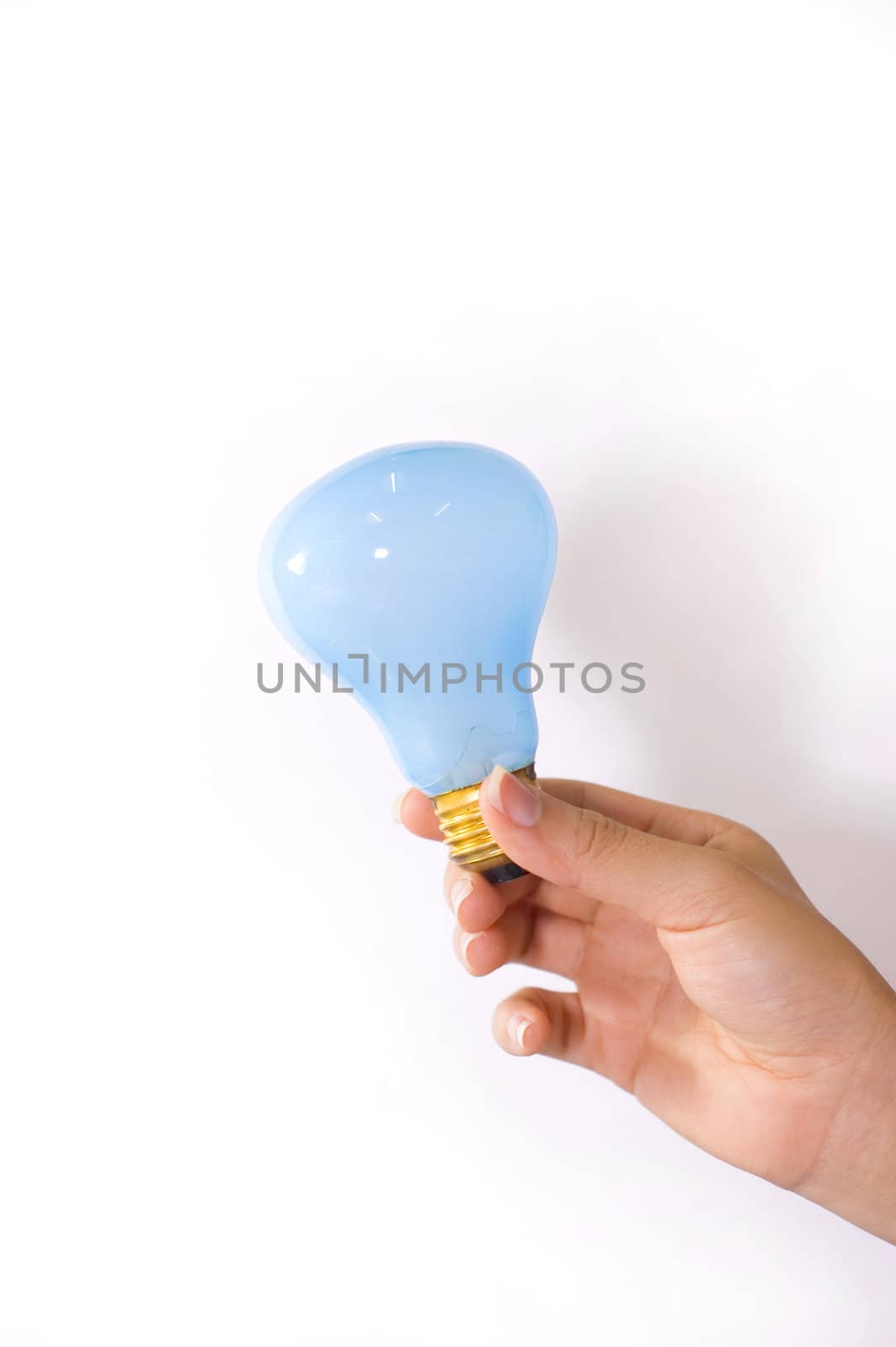hands holding bulb with white background