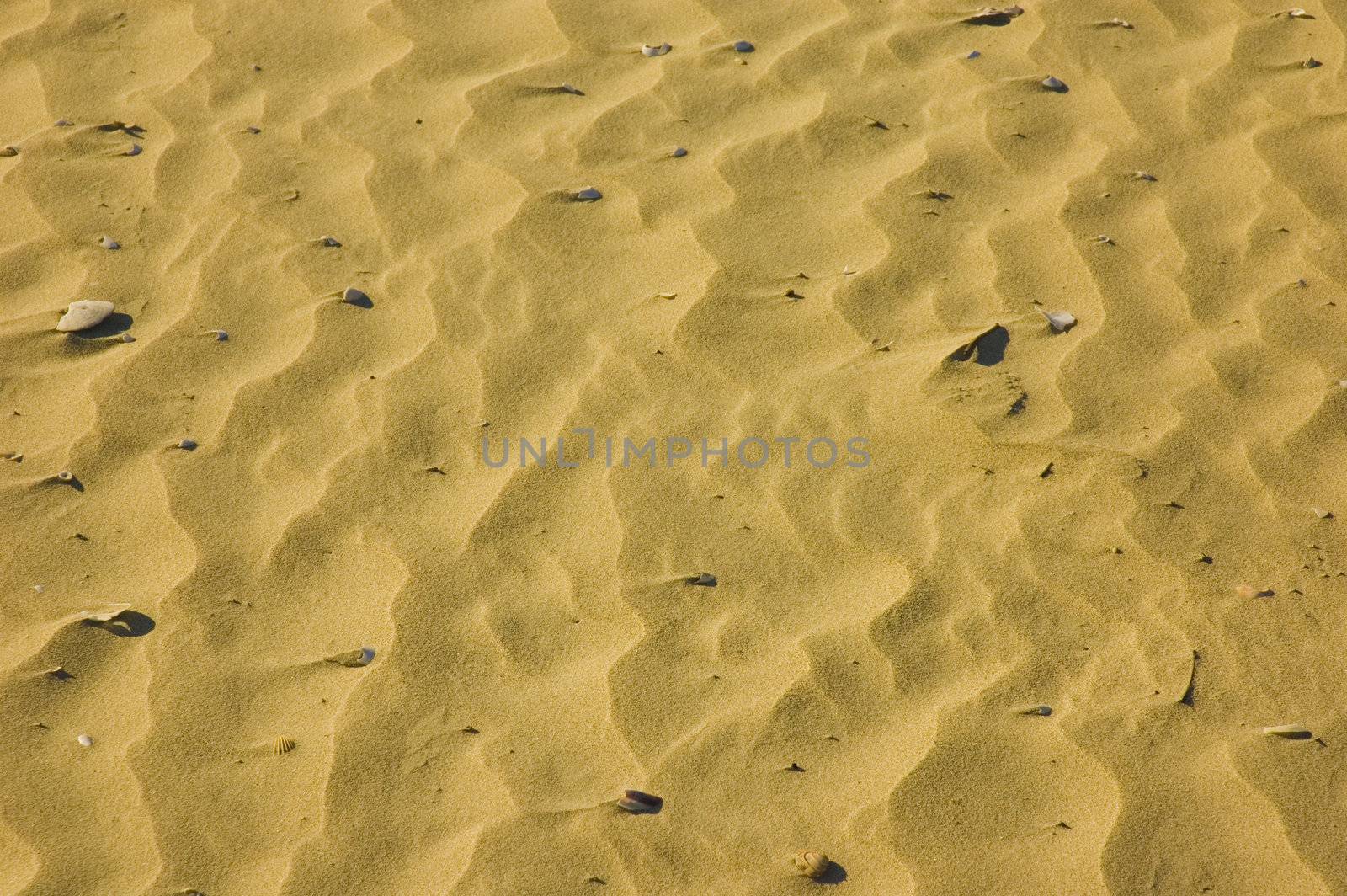 sand texture for background purpose