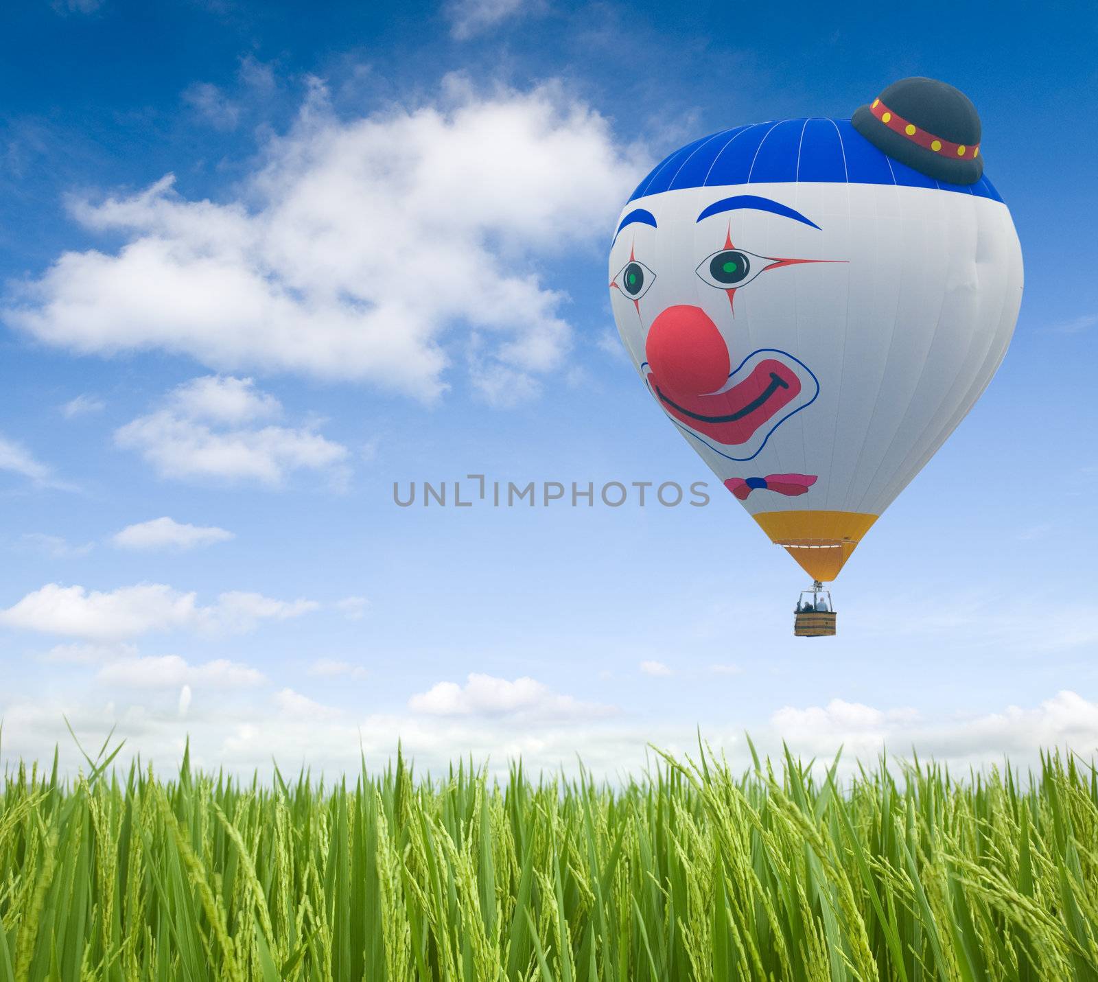 flying baloo over green grasses