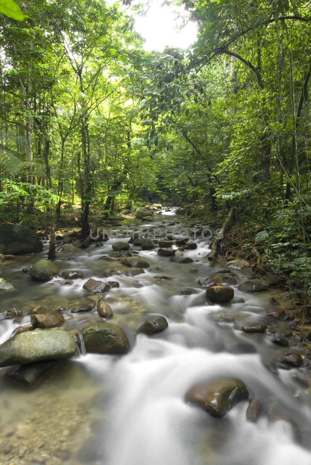 natural green waterfall