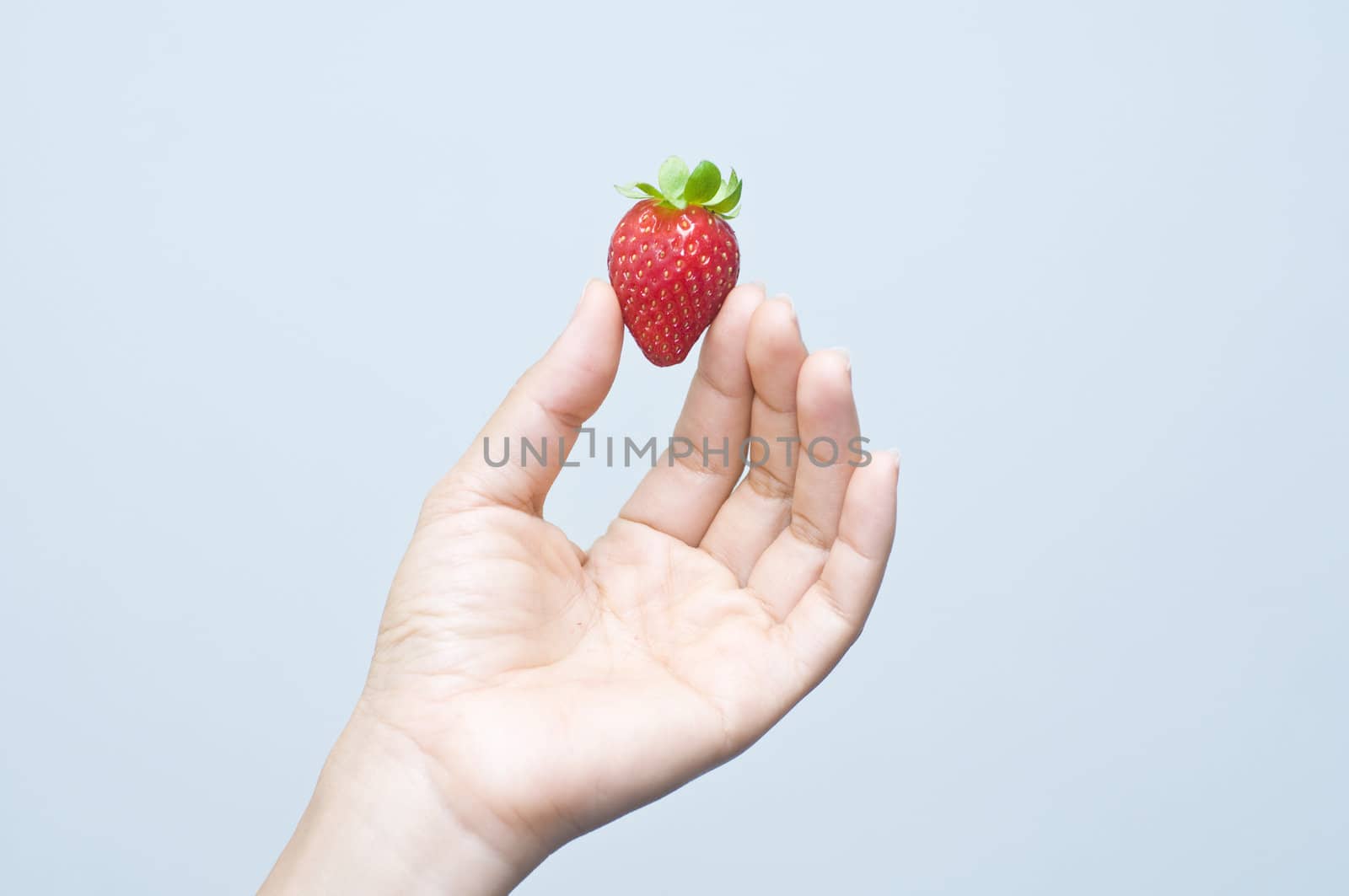 an asian hand holding a single strawberry by yuliang11